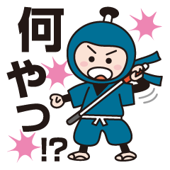 The World Of Samurai And Ninja