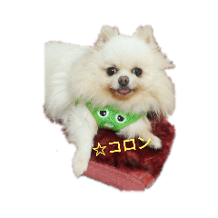 cocoa_20200807235951