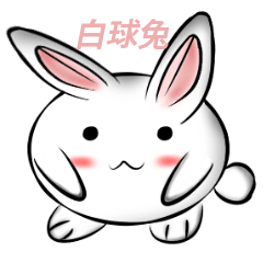 白球兔-日常用語