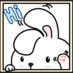 Chubby Rabbit1
