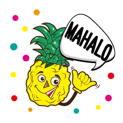 Mr.Aloha Pineapple