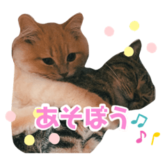 Saya_20200807232541