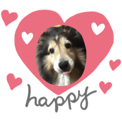 akiko_20200808022856