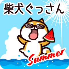 Shiba Gussan in Summer