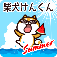 Shiba Kenkun in Summer