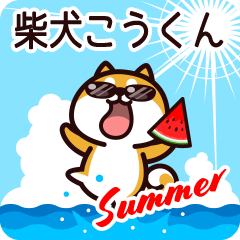 Shiba Koukun in Summer