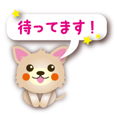 Daily conversation Sticker of Chihuahua