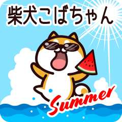 Shiba Kobachan in Summer