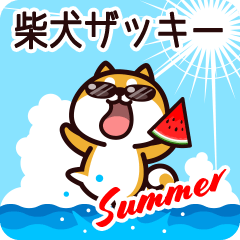 Shiba Zakki in Summer