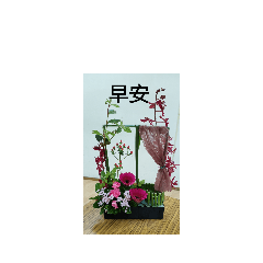 花心情