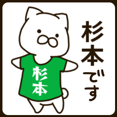 SUGIMOTO-cat