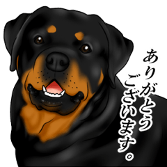 The Rottweilers 2. Japanese Ver.