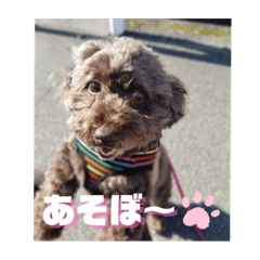 smile_20200808130810