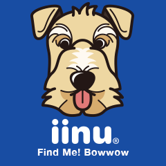 iinu - Lakeland Terrier