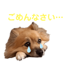 Saya_20200808145543
