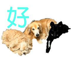 多力家族日常生活第四篇