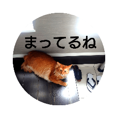 Alice_20200808151934