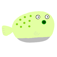 Pom of cute puffer fish