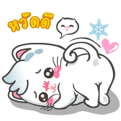Snowy Cat แมวสโนวี่