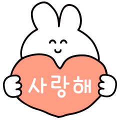 So Cute Korean  Rabbit