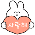 So Cute Korean  Rabbit
