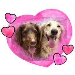 ujachan_20200808123849