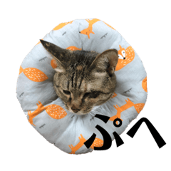 haruna_20200808163548