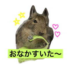 nanami_20200808152856