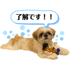 Kaho_20200808170446