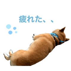 kaho_20200808165915