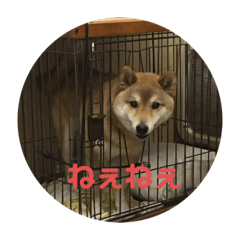 KANAE_20200808162809