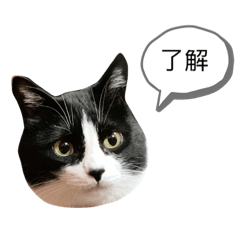 Nakano Family: Chibi Stickers