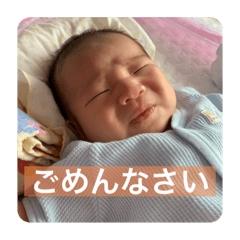 risa_20200808172812