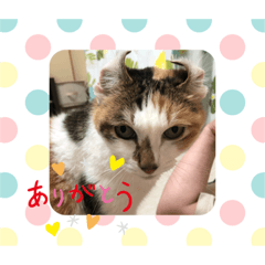 yukari_20200808150822