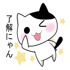 Nyanchi of black-and-white cat2