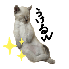 monchanno