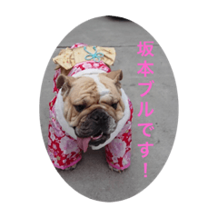 ryuki_20200808214555