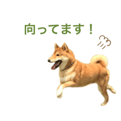 kaho_20200808233921