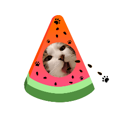 mochi_20200808235141