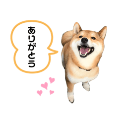 KANAE_20200808192426