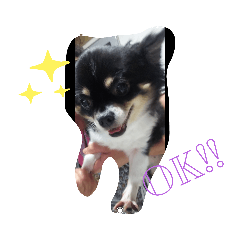 junko_20200808212709