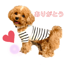 Haruna_20200809003144