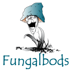 Fungalbods