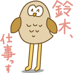 suzuki owl.