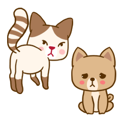 Dog and Cat Cute
