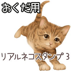 Okuda Real pretty cats 3