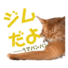 Alice_20200809130544