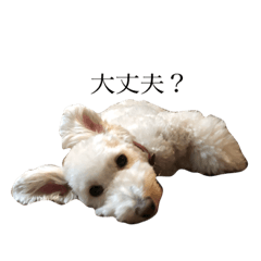 james_20200809131013