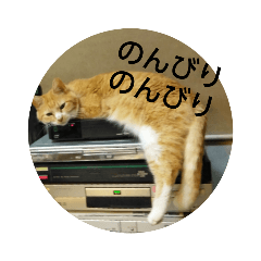 michiko_20200809104643