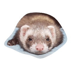 akiko_20200809095729